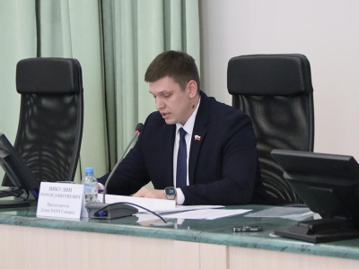 Председатель Думы Роман Никулин провёл публичные слушания